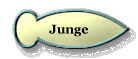 Junge